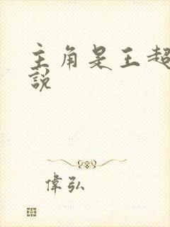 主角是王超的小说