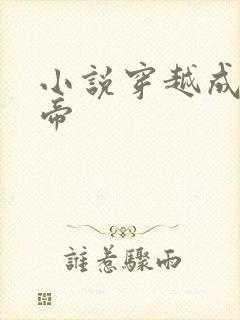 小说穿越成崇祯帝