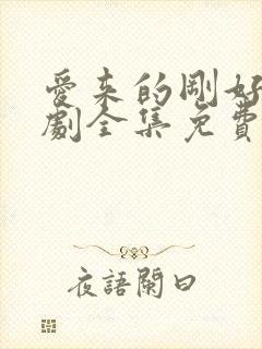 爱来的刚好电视剧全集免费观看