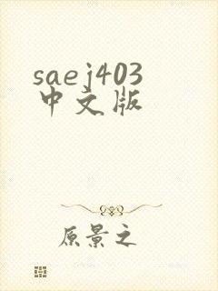 saej403中文版