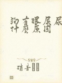 狗有眼屎尿黄是什么原因