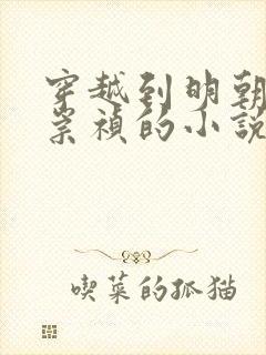 穿越到明朝成为崇祯的小说