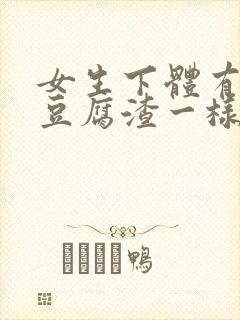 女生下体有白色豆腐渣一样的东西封面