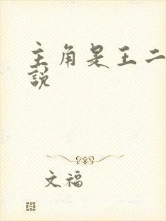 主角是王二的小说