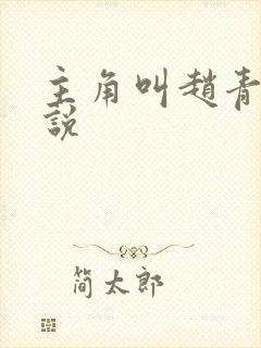 主角叫赵青的小说