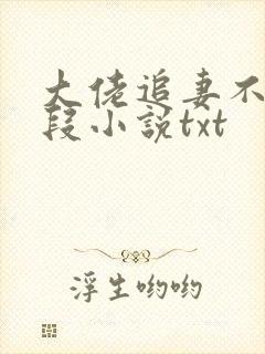 大佬追妻不择手段小说txt