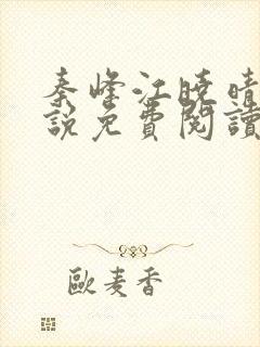 秦峰江晓晴的小说免费阅读