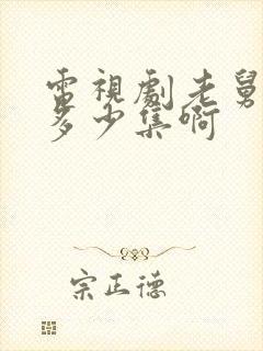 电视剧老舅总共多少集啊