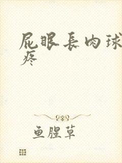 屁眼长肉球特别疼