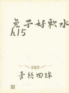 兔子好软水好多h15