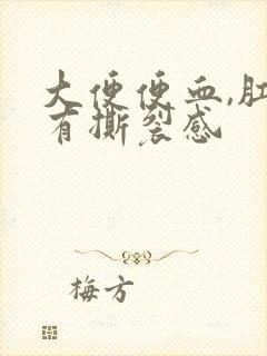 大便便血,肛门有撕裂感