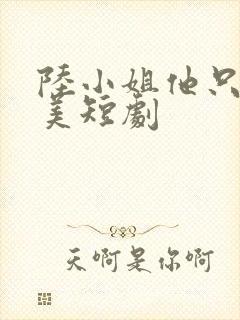 陆小姐他只想独美短剧封面
