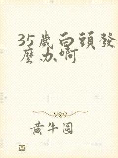 35岁白头发怎么办啊封面