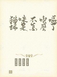 猫咪不吃呕吐拉稀是怎么了