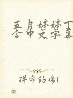 五月婷婷丁香综合中文字幕封面