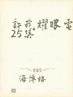 许我耀眼电视剧25集