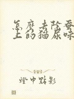 怎么去除蚕丝被上的猫尿味封面