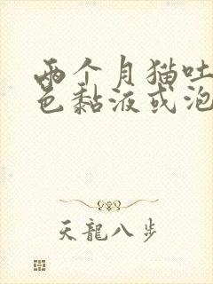 两个月猫吐了白色黏液或泡沫封面