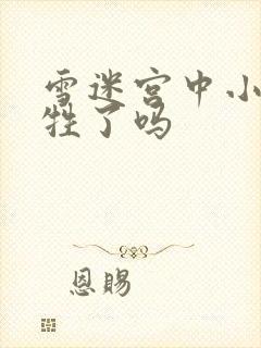 雪迷宫中小光牺牲了吗