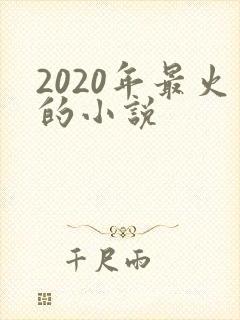 2020年最火的小说