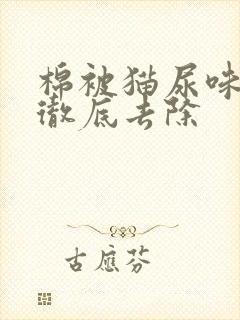 棉被猫尿味怎么彻底去除