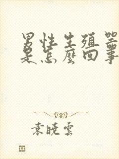 男性生殖器红痒是怎么回事封面