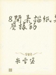 8开素描纸是什么样的