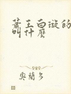萧王白璇的小说叫什么