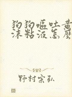 狗狗呕吐黄水泡沫粘液怎么办封面