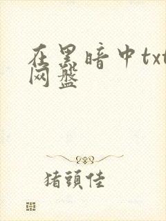 在黑暗中txt网盘