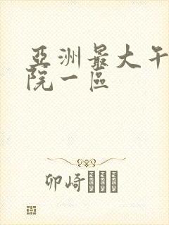 亚洲最大午夜影院一区