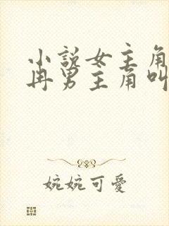 小说女主角叫冉冉男主角叫沈封面