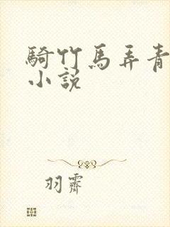 骑竹马弄青梅 小说封面