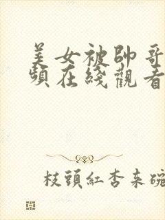 美女被帅哥操视频在线观看