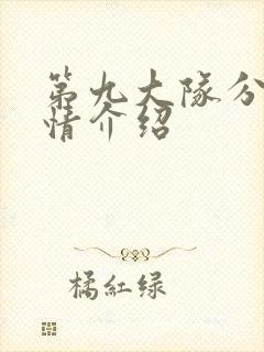 第九大队分集剧情介绍封面