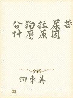 公狗拉尿带血是什么原因