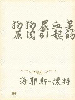 狗狗尿血是什么原因引起的