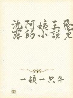 沈阿姨王飞李露露的小说免费阅读封面