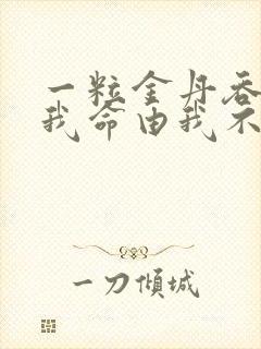 一粒金丹吞入腹我命由我不由天