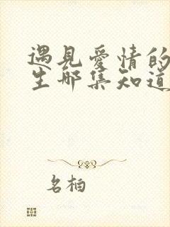 遇见爱情的利先生哪集知道身世