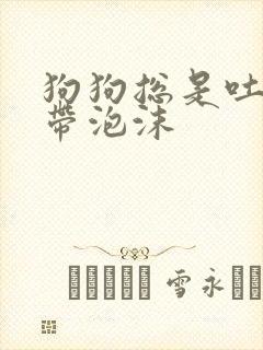 狗狗总是吐黄水带泡沫