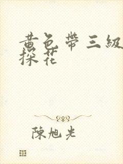 黄色带三级欧美探花