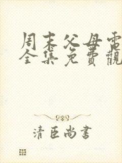 周末父母电视剧全集免费观看剧情