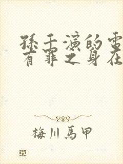 孙千演的电视剧有罪之身在线观看封面