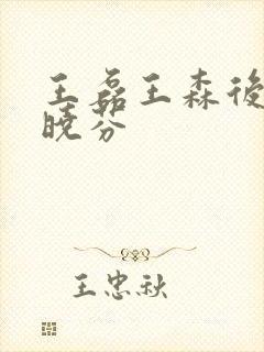 王磊王森后妈杨晓芬