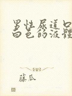 男性尿道口排泄白色的液体