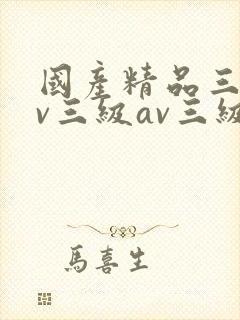 国产精品三级av三级av三级
