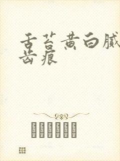 舌苔黄白腻厚有齿痕