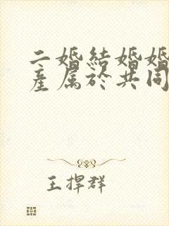 二婚结婚婚前财产属于共同财产吗