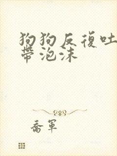 狗狗反复吐黄水带泡沫